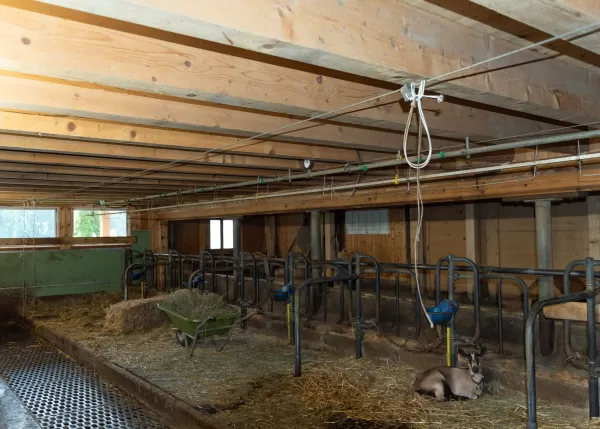 Neubau Scheune & Ökonomieteil. Im landwirtschaftlichen Anwesen ist bei allen Gebäuden, außer dem Wohnhaus und dem Auszugshaus, von einem Wirtschaftsgebäude die Rede. Der Begriff wird auch heute noch oft auch bei Neubauten von Scheunen, Ställen, Remisen und Unterständen verwendet, insbesondere im behördlichen Umfeld (Raumplanung, Baubewilligungsverfahren). Bei einem in ein Bauernhaus integrierten Stall (Wohnstallhaus) oder einer Scheune sind die Bezeichnungen Ökonomieteil bzw. Wirtschaftsteil korrekt.