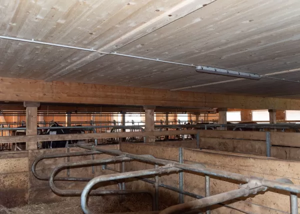 Neubau Scheune & Ökonomieteil. Im landwirtschaftlichen Anwesen ist bei allen Gebäuden, außer dem Wohnhaus und dem Auszugshaus, von einem Wirtschaftsgebäude die Rede. Der Begriff wird auch heute noch oft auch bei Neubauten von Scheunen, Ställen, Remisen und Unterständen verwendet, insbesondere im behördlichen Umfeld (Raumplanung, Baubewilligungsverfahren). Bei einem in ein Bauernhaus integrierten Stall (Wohnstallhaus) oder einer Scheune sind die Bezeichnungen Ökonomieteil bzw. Wirtschaftsteil korrekt.