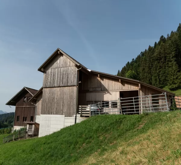 Neubau Scheune & Ökonomieteil. Im landwirtschaftlichen Anwesen ist bei allen Gebäuden, außer dem Wohnhaus und dem Auszugshaus, von einem Wirtschaftsgebäude die Rede. Der Begriff wird auch heute noch oft auch bei Neubauten von Scheunen, Ställen, Remisen und Unterständen verwendet, insbesondere im behördlichen Umfeld (Raumplanung, Baubewilligungsverfahren). Bei einem in ein Bauernhaus integrierten Stall (Wohnstallhaus) oder einer Scheune sind die Bezeichnungen Ökonomieteil bzw. Wirtschaftsteil korrekt.